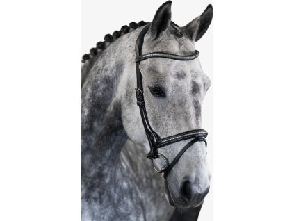 Uzdečka Amsterdam PS of Sweden, čierna