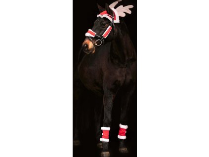 Súprava vianočná Waldhausen, christmas red