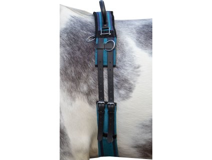 Obrušník lonžovací Canvas HKM, navy/sky blue
