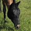 Maska proti hmyzu Umbria Equitazione, s ochranou uší a nozdier, čierna