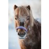 Ohlávka Mascha HorseGuard, montana grape
