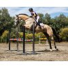 Chránič chrbtice Soft Equestro, pre dospelých, lilla