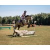 Chránič chrbtice Soft Equestro, pre dospelých, lilla