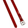 Remene strmeňové Biothane Derby, 145 cm, red