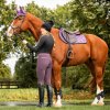 Legíny jazdecké Fayen QHP, s gripom, dámske, vintage violet