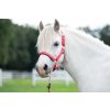 Ohlávka Aymee HKM, pony, red