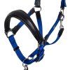 Set ohlávky s vodítkom Lani Equestro, black/royal (Veľkosť COB)