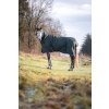 Deka výbehová Lynn HorseGuard, s krkom, 400 g, darkest spruce