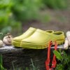 Papuče Clogsy Evasion Blackfox, pre dospelých, lime