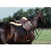 Strmene bezpečnostné Arena Alupro Acavallo, 12 cm, red