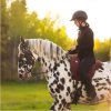 Pad jazdecký Special Brockamp, PONY, jeans blue