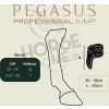 pegasus zadni