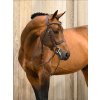 Uzdečka Wellington PS of Sweden, hnedá