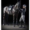 lm loiredressage black5 hr 1