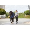 Deka odpocovacia Mitch Cooler HorseGuard, navy