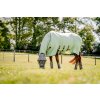 Chrániče proti hmyzu Horseware, 4 ks, oatmeal/sage/beige/green