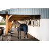 Deka stajňová Easy-Layer Plus Horseware, 100 g, black/black & silver