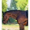 Prevliečky kožené Waldhausen, čierne (Varianta PONY	)