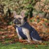 Deka pre psov Show-Line Bucas, navy/grey