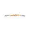 Zubadlo Baucher raz lomené Sweet Gold Carter Fager