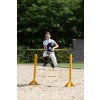 5577 5579 5616 5670 hobby horse 3