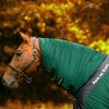 Krčný diel k deke Royal Mesh Deluxe Back on Track, green