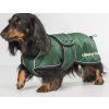 Deka pre psov Buddy Back on Track, green (Veľkosť 28 cm)