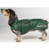 Deka pre psov Buddy Back on Track, green (Veľkosť 28 cm)