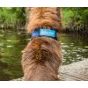 Šatka chladiaca pre psov Back on Track, blue