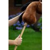 Hobby horse QHP, hnedý