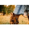 Deka proti hmyzu Newmarket Pony Plus Horseware, s krkom, witney navy