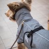 Deka pre psov Nella All-Round Back on Track, grey