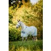 Deka proti hmyzu Pony Newmarket Horseware, witney navy