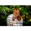 Deka odpocovacia Newmarket Horseware, witney charcoal