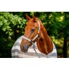 Deka odpocovacia Newmarket Horseware, witney charcoal