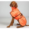 Deka pre psov Bark All-Round Back on Track, orange