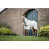 Deka proti hmyzu Rambo Hoody Pony, s krkom, chalk/hunter green & silver