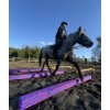 Kavalety mäkké Horse Mania, 3 ks, 3,3 m, 10x10 cm, pink/navy blue