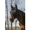 Maska proti hmyzu Super Equithème, s ochranou uší, čierna
