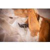 Obojok pre psov Billie Penelope, black/lurex (Veľkosť 30 cm)