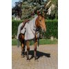 Deka jazdecká proti hmyzu Riding World, s krkom, grey