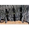 Deka proti hmyzu Riding World, zebra (Dĺžka chrbta 120 cm)