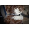 Obojok pre psov Pearl Penelope, black/white