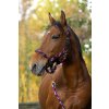 Ohlávka a vodítko Tressé Equithème, fuchsia/light blue/navy