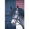 Uzdečka Eden Penelope, čierna (Veľkosť PONY)