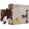 Hobby horse QHP, skeward