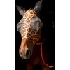 Maska proti hmyzu Horse Mania, s ochranou uší, natural panther