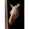 Maska proti hmyzu Horse Mania, s ochranou uší, natural panther