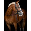 Uzdečka anatomická Cryll 25.2 HorseGuard, čierna