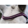 Uzdečka Pony Diamante Flash Horseware, black/pink